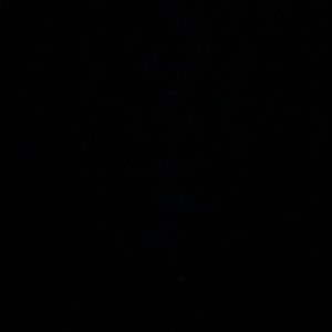 Meet your Posher, Camille